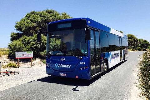 Rottnest Bayseeker Bus Tour From Hillarys Boat Harbour - New South Wales Tourism  0