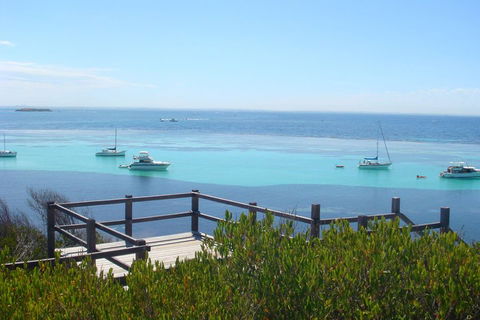 Rottnest Bayseeker Bus Tour From Hillarys Boat Harbour - New South Wales Tourism  3