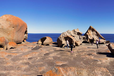 Full-Day Kangaroo Island Experience Departing From Kangaroo Island - New South Wales Tourism  4