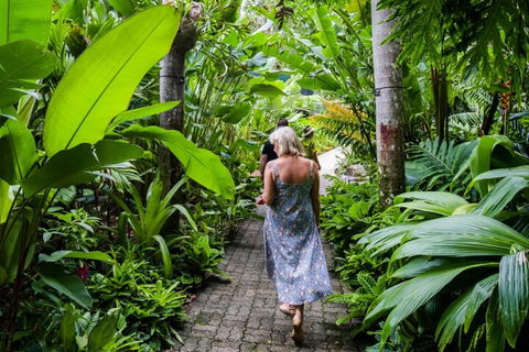 Cairns City Sights And Surrounds Tour - New South Wales Tourism  2