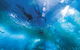 Snorkel With Sharks At AQWA - thumb 1