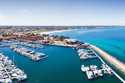 Snorkel With Sharks At AQWA - New South Wales Tourism  3