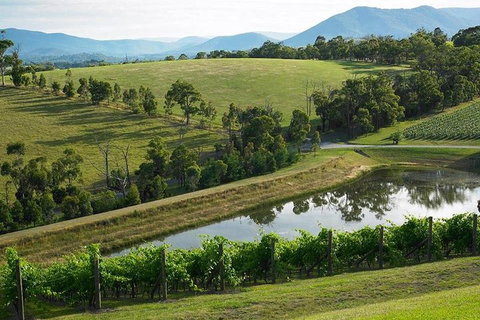 CHEVY CONVERTIBLE Package For 2 People- Wine Lunch Cheese & Chocolate From Melb. - New South Wales Tourism  0