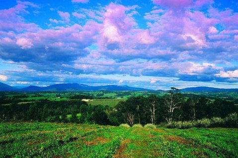 CHEVY CONVERTIBLE Package For 4 -Wine Lunch Cheese & Chocolate From Yarra Valley - New South Wales Tourism  4