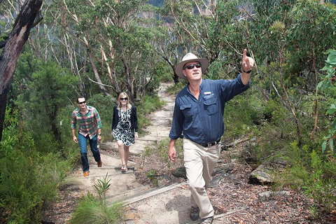 Small-Group Blue Mountains Tour With Bush Walks And Featherdale Wildlife Park - New South Wales Tourism  0