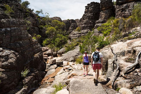 3-Day Melbourne To Adelaide Small-Group Tour Via Great Ocean Road Grampians - New South Wales Tourism  2