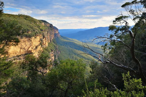 Blue Mountains Day Tour With Wildlife At Sunset From Sydney - New South Wales Tourism  5