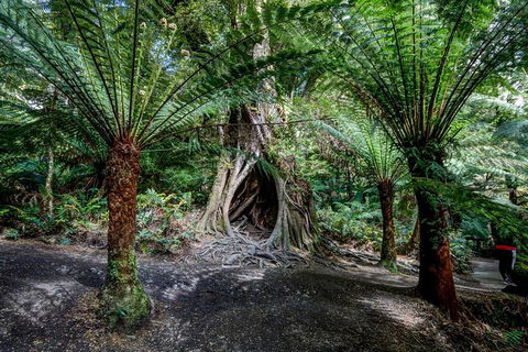 Adelaide To Melbourne 3-Day Trip Through Grampians And Great Ocean Road - New South Wales Tourism  0