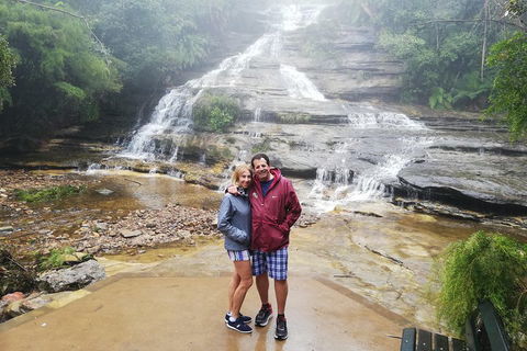 Blue Mountains Day Trip From Sydney With Amazing Lookouts (Private Tour) - New South Wales Tourism  0