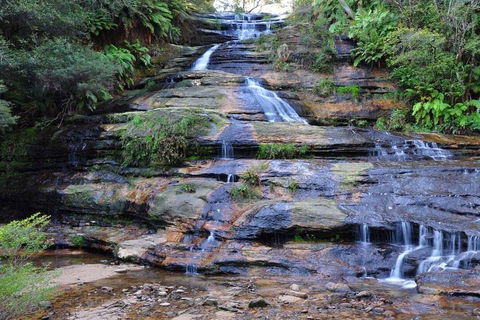 Blue Mountains Day Trip From Sydney With Amazing Lookouts (Private Tour) - New South Wales Tourism  4