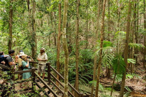Fraser Explorer K'gari 2-Day Tour - New South Wales Tourism  5