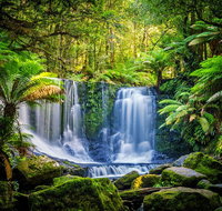 Day Tour in Mt. Field Mt. Wellington Bonorong Wildlife Sanctuary and Richmond - New South Wales Tourism 