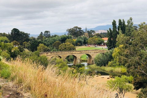 Day Tour In Mt. Field, Mt. Wellington, Bonorong Wildlife Sanctuary And Richmond - New South Wales Tourism  3
