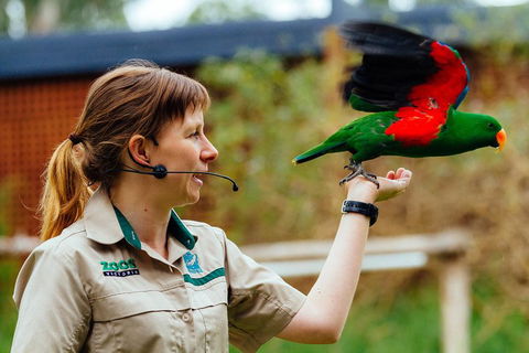 VIP Sanctuary Tour At Healesville Sanctuary Ticket - New South Wales Tourism  0