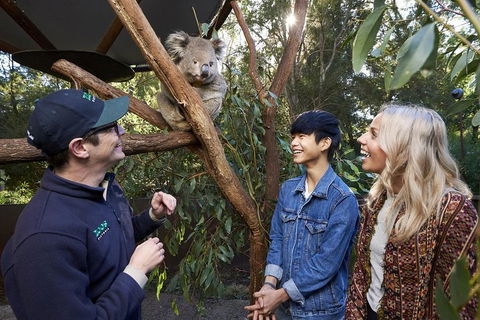 VIP Sanctuary Tour At Healesville Sanctuary Ticket - New South Wales Tourism  1