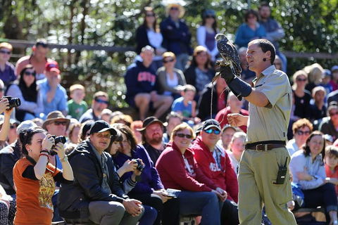 VIP Sanctuary Tour At Healesville Sanctuary Ticket - New South Wales Tourism  4