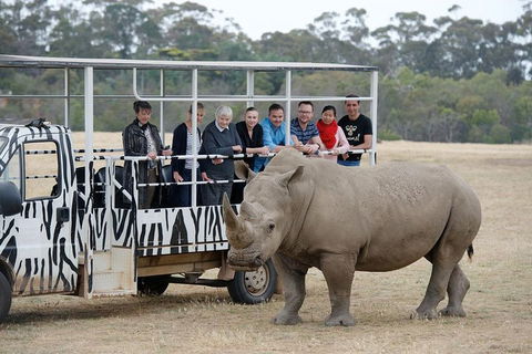 Off-Road Safari At Werribee Open Range Zoo - New South Wales Tourism  0