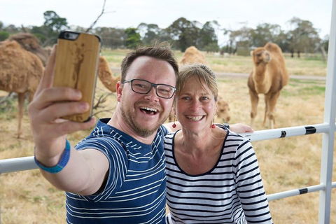 Off-Road Safari At Werribee Open Range Zoo - New South Wales Tourism  1