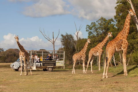 Off-Road Safari At Werribee Open Range Zoo - New South Wales Tourism  3