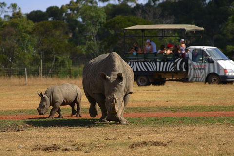 Off-Road Safari At Werribee Open Range Zoo - New South Wales Tourism  5