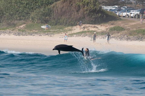 Cruise With Dolphins In Byron Bay - New South Wales Tourism  3