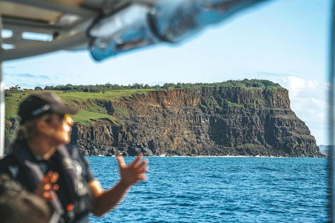 Cruise With Dolphins In Byron Bay - New South Wales Tourism  4