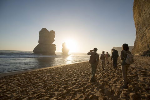 Small-Group Sunset Great Ocean Road Chocolaterie Tour From Melbourne - New South Wales Tourism  1