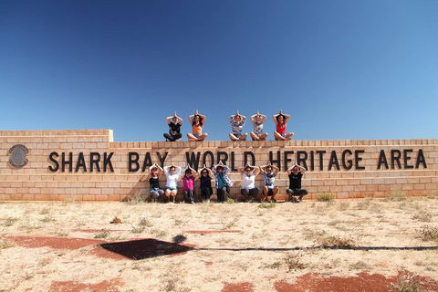 6-Day Coral Coaster From Perth To Exmouth One-Way Via Monkey Mia Ningaloo Reef - New South Wales Tourism  4