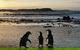Small-Group Phillip Island Day Trip From Melbourne With Penguin Plus Viewing - thumb 2