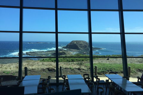 Small-Group Phillip Island Day Trip From Melbourne With Penguin Plus Viewing - New South Wales Tourism  5