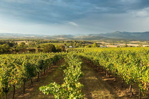 Yarra Valley Local Produce And Wine Tasting Tour - New South Wales Tourism  3