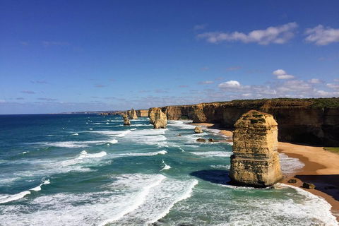 Great Ocean Road Reverse Itinerary Tour - New South Wales Tourism  4