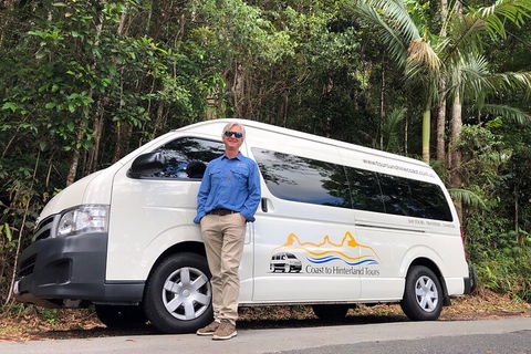 Sunshine Coast Hinterland Rainforest, Views And Montville Day Tour Inc. Lunch - New South Wales Tourism  1
