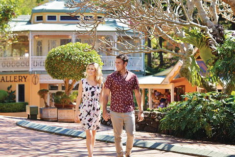 Sunshine Coast Hinterland Rainforest, Views And Montville Day Tour Inc. Lunch - New South Wales Tourism  4
