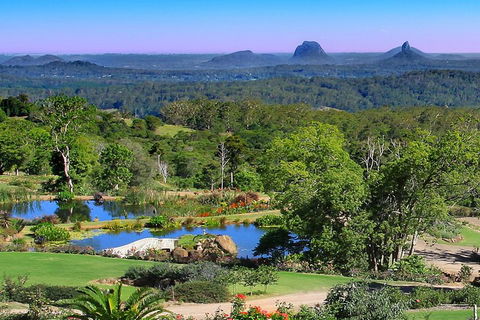 Sunshine Coast Hinterland Rainforest, Views And Montville Day Tour Inc. Lunch - New South Wales Tourism  5
