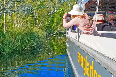 Noosa Everglades Serenity Cruise & Highlights Tour Inc. Lunch & Cruise - New South Wales Tourism  2