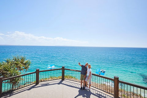 Noosa Everglades Serenity Cruise & Highlights Tour Inc. Lunch & Cruise - New South Wales Tourism  3