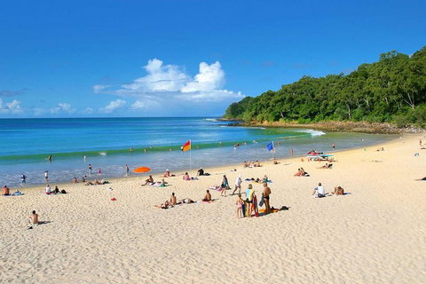 Noosa Everglades Serenity Cruise & Highlights Tour Inc. Lunch & Cruise - New South Wales Tourism  4