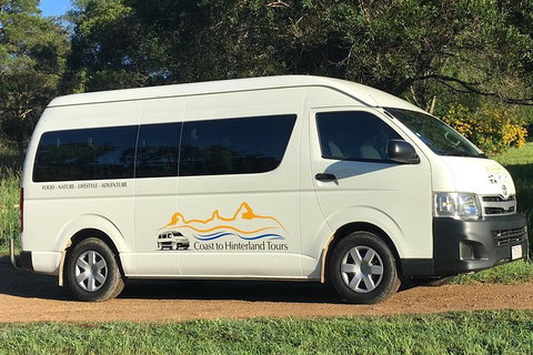 Noosa Everglades Serenity Cruise & Highlights Tour Inc. Lunch & Cruise - New South Wales Tourism  5