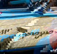 Torrens River Cruise in Adelaide - New South Wales Tourism 