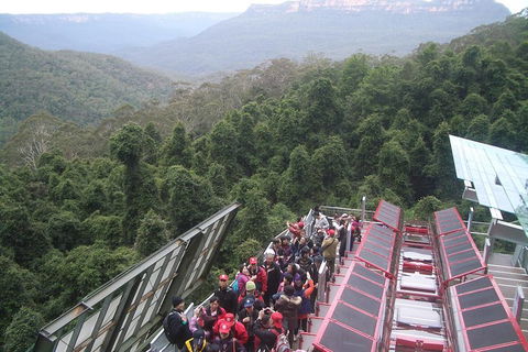 Blue Mountains Private Tour With Wildlife Park And River Cruise - New South Wales Tourism  1