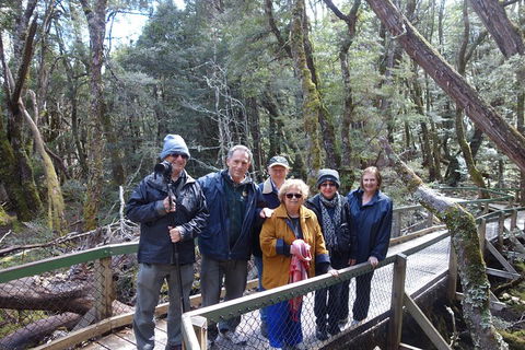 Blue Mountains Private Tour With Wildlife Park And River Cruise - New South Wales Tourism  2