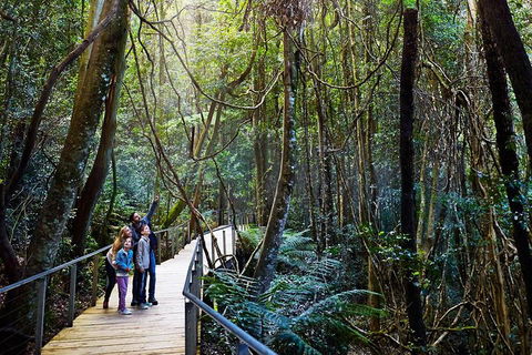 Blue Mountains Private Tour With Wildlife Park And River Cruise - New South Wales Tourism  4