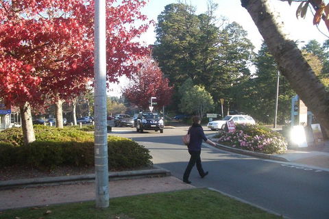 PRIVATE All-Day Blue Mountains Tour With Professional Guide For Up To 4 People - New South Wales Tourism  1