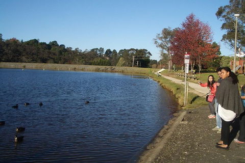 PRIVATE All-Day Blue Mountains Tour With Professional Guide For Up To 4 People - New South Wales Tourism  2