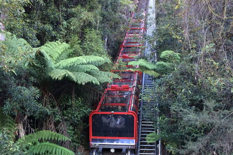 Blue Mountains Private Full-Day Tour From Sydney With Cruise - New South Wales Tourism  5