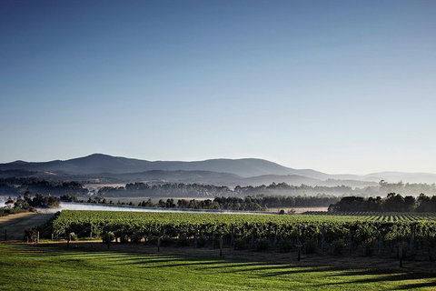 Chauffeur Driven Yarra Valley Group Wine Tour - Up To 7 - New South Wales Tourism  2