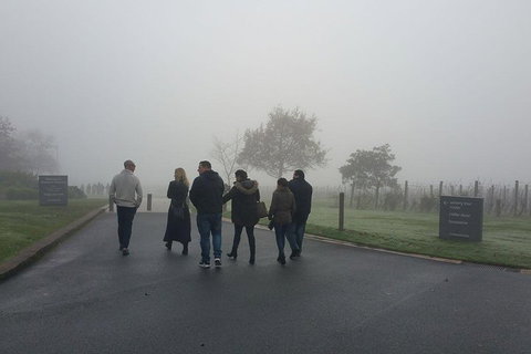 Chauffeur Driven Yarra Valley Group Wine Tour - Up To 7 - New South Wales Tourism  4