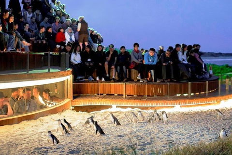 Great Ocean Road & Phillip Island - 3 Days, 2 Nights - New South Wales Tourism  0
