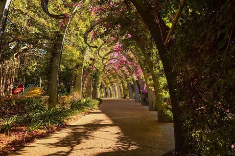 Brisbane Scavenger Hunt: Brisbane's South Bank! - New South Wales Tourism  3